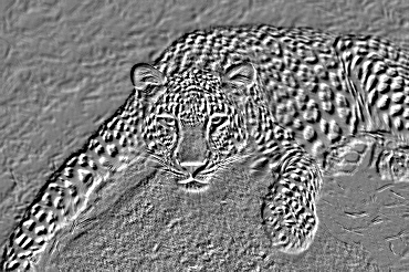 Endgültiges Reliefbild