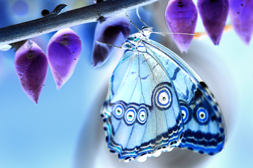 Endbild (Positiv-Negativ)